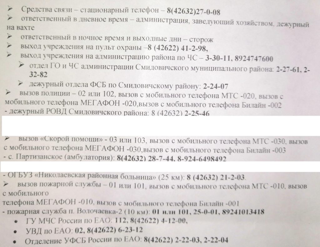 Лето 2022 — Школа № 11 с. Волочаевка